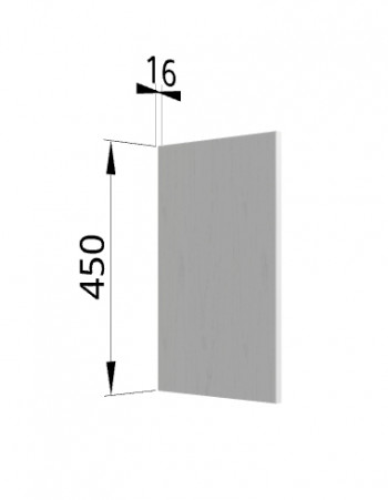 Панель торцевая (для шкафа горизонтального высокого) ВПГ Ройс (Графит софт) в Абрамово - abramovo.mebel54.com | фото